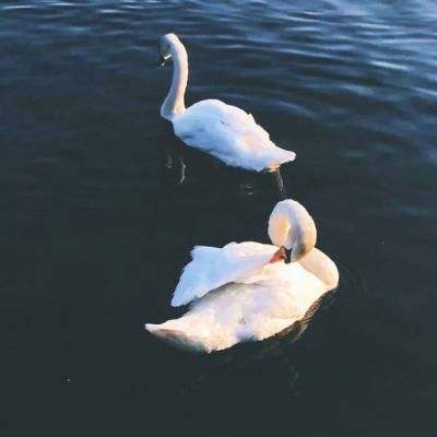 电装BMS软件助力构建动力电池安...